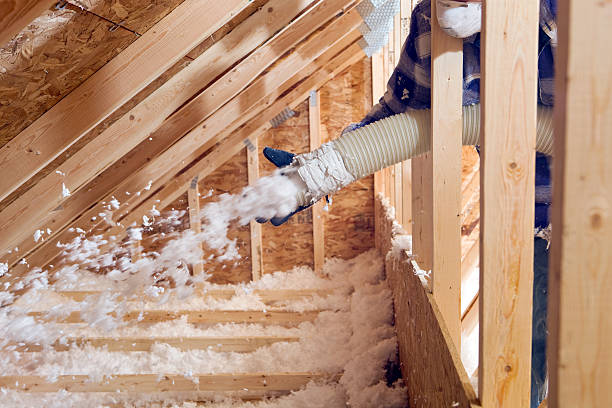 Best Basement Insulation  in Fabens, TX