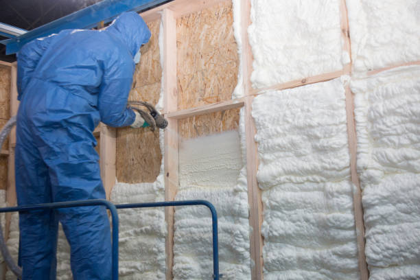 Types of Insulation We Offer in Fabens, TX